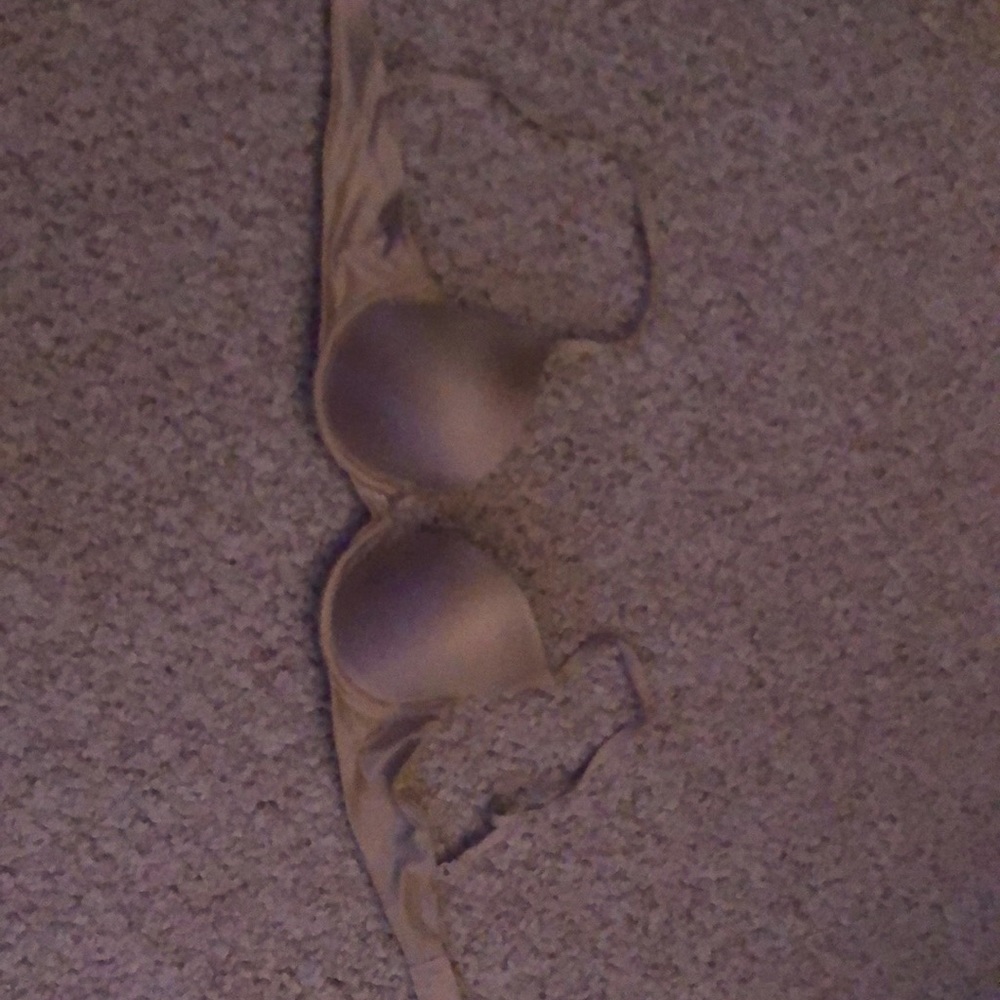 Maiden Form Pushup Bra